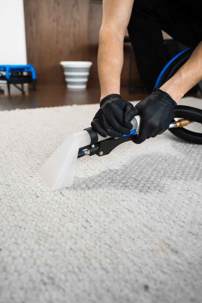 Carpet Cleaning in El Monte