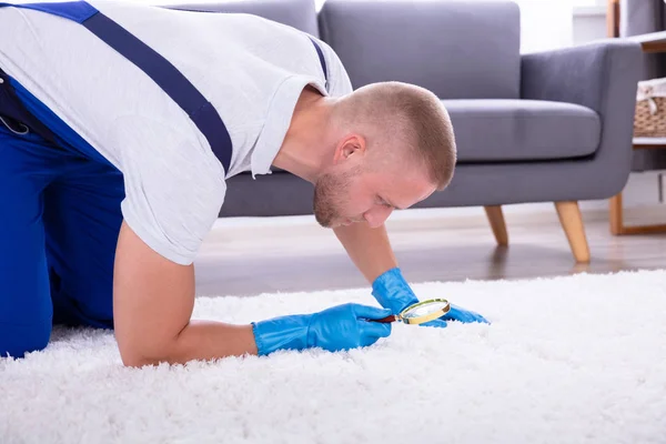 Deep Carpet Cleaning near Azusa